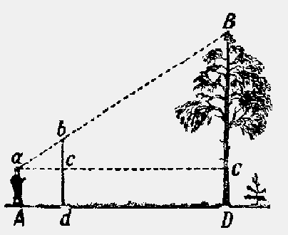 Измерение прямых линий на местности.